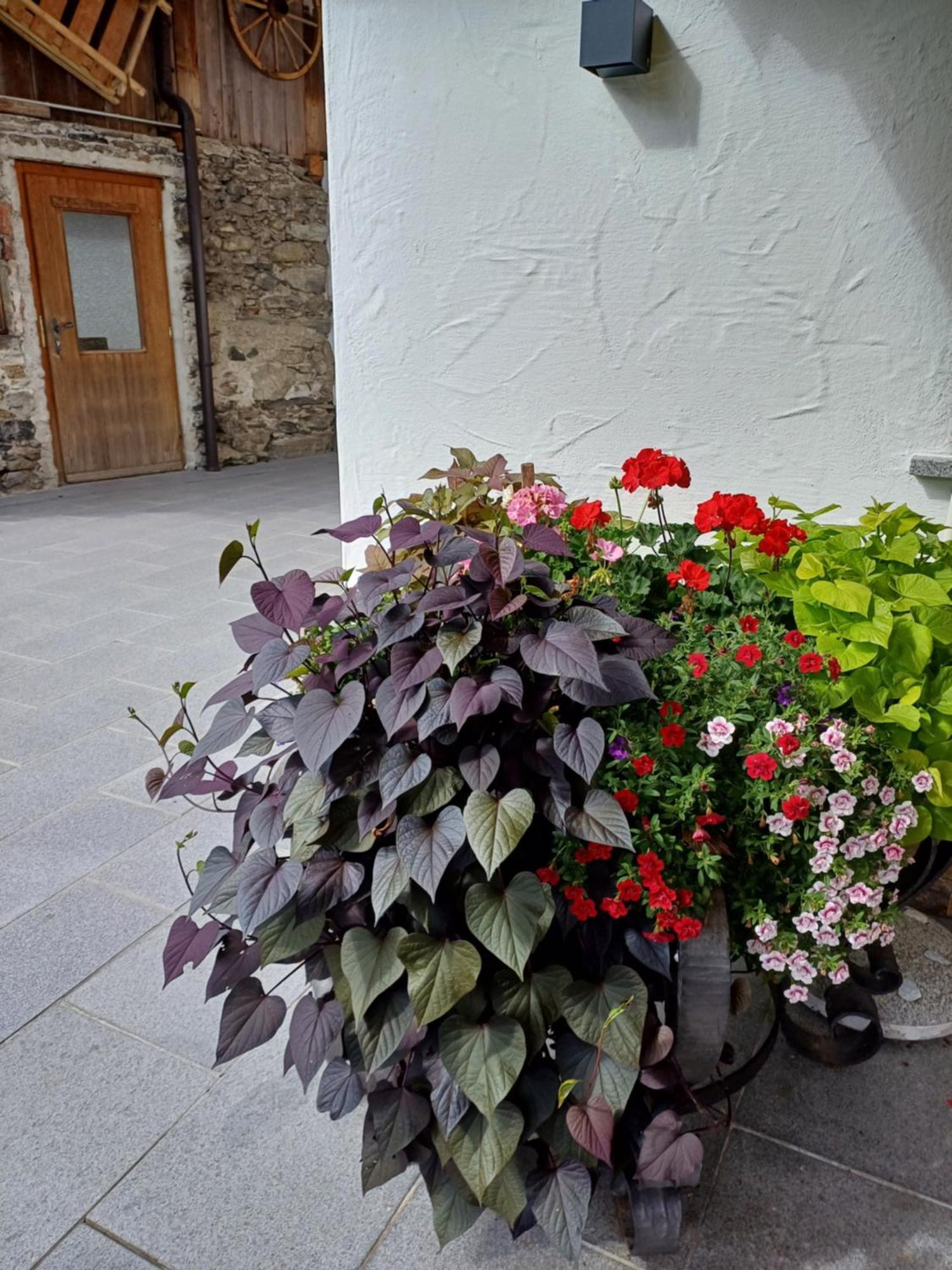 Landhaus Eberler Mayrhofen Dış mekan fotoğraf