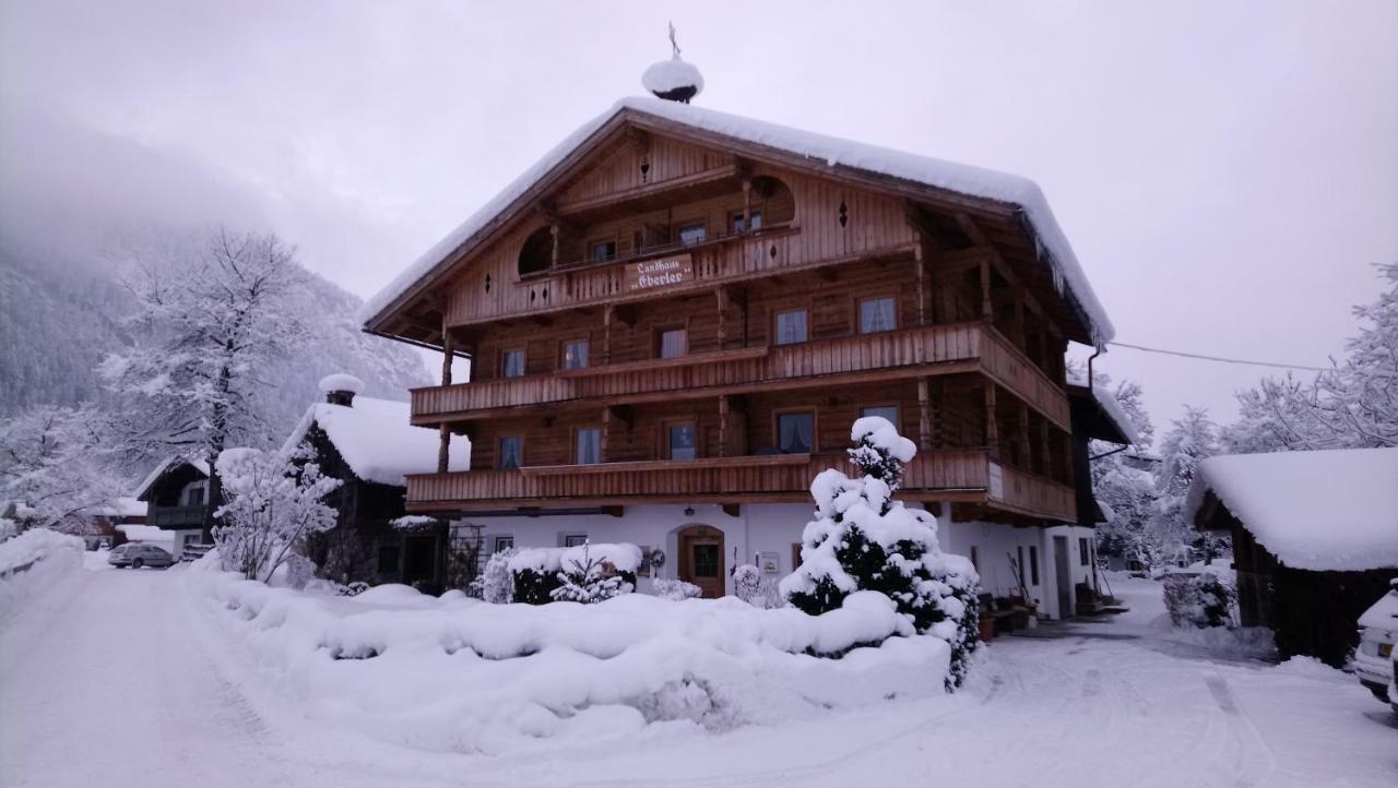 Landhaus Eberler Mayrhofen Dış mekan fotoğraf